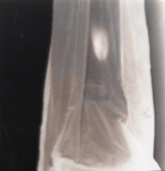 A Ghost